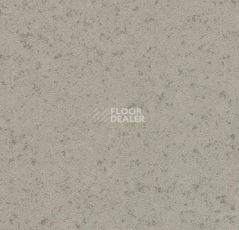 Линолеум Forbo Modul'up compact material 211UP43C light grey canyon фото 1 | FLOORDEALER